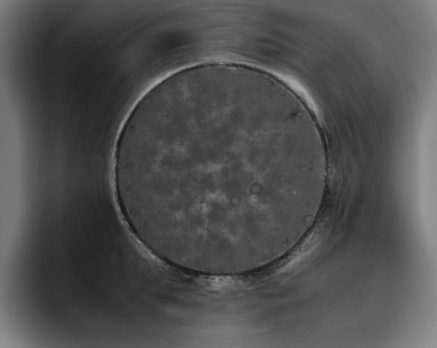 X0000093530903200710121557