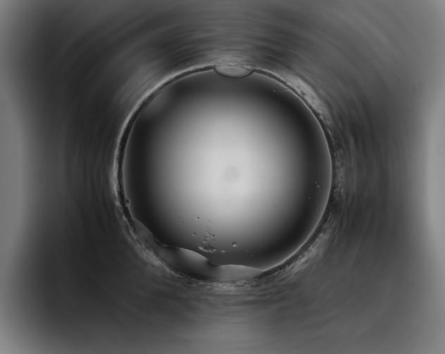 X0000093530904200710121557