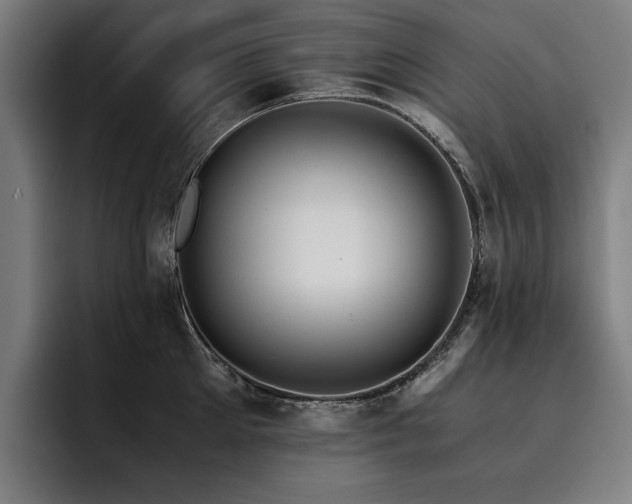 X0000093530905200710121557