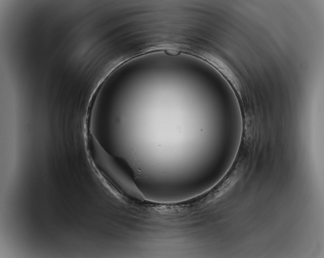X0000093530906200710121557