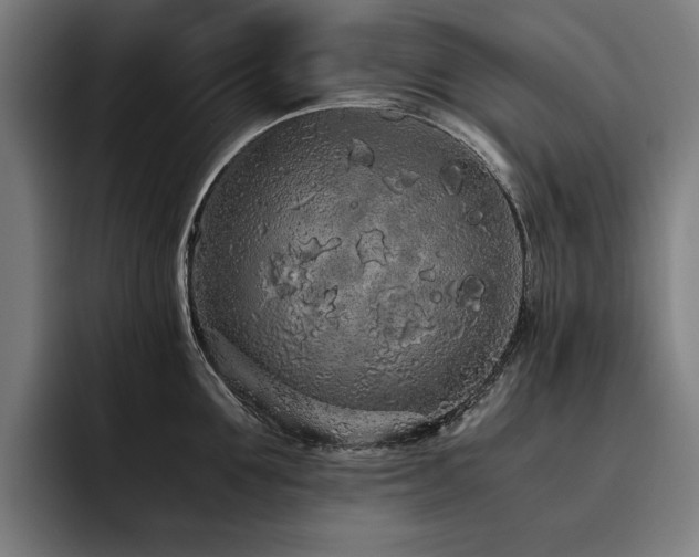 X0000093530907200710121557