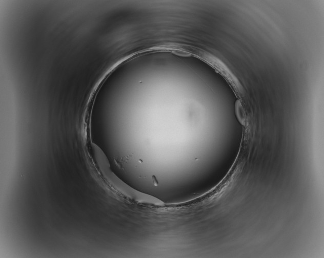 X0000093530908200710121557