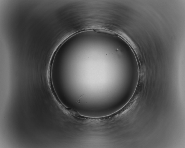 X0000093530909200710121557