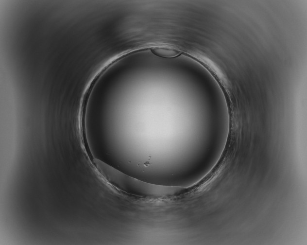 X0000093530910200710121557