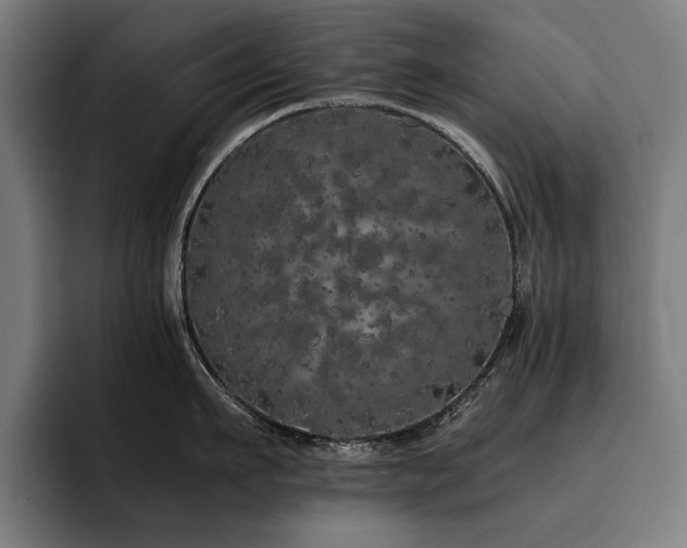 X0000093530911200710121557