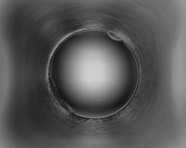 X0000093530912200710121557