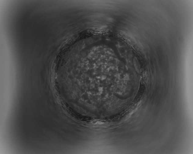 X0000093530913200710121556
