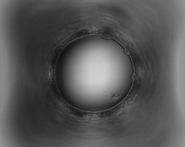 X0000093530914200710121556