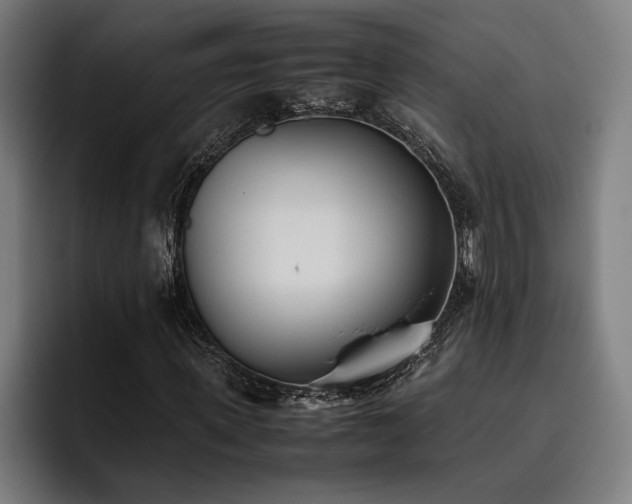 X0000093530915200710121556