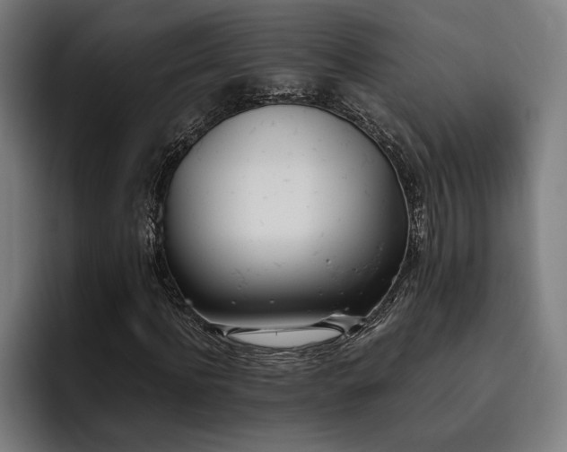 X0000093530916200710121556