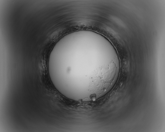 X0000093530918200710121556