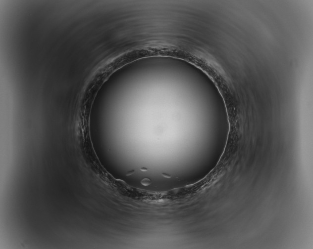 X0000093530920200710121556