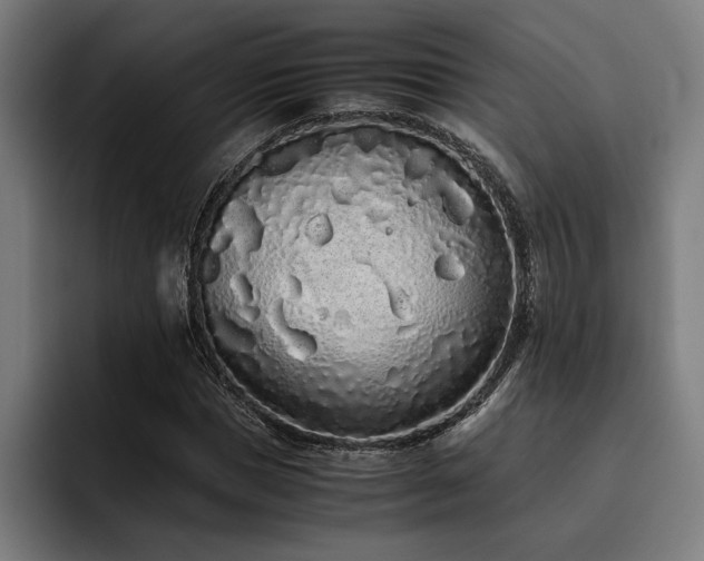 X0000093530921200710121556