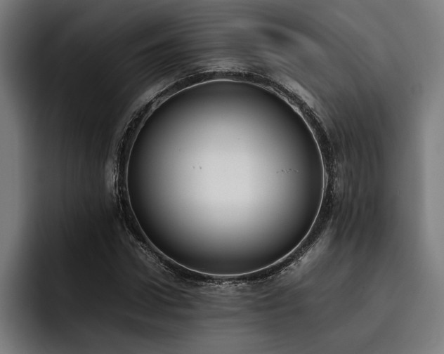 X0000093530922200710121556