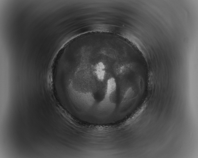 X0000093530923200710121556