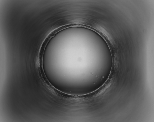 X0000093530924200710121556