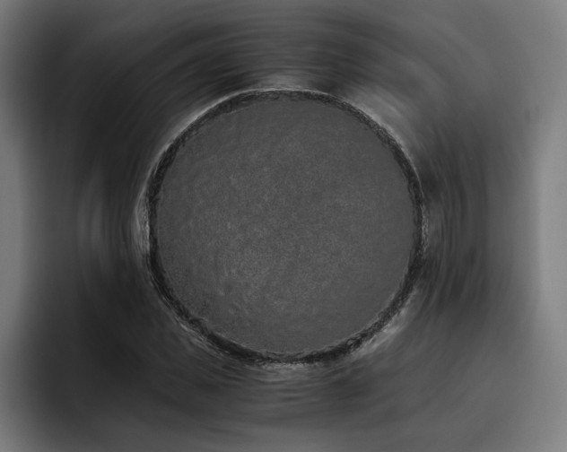 X0000093530925200710121556