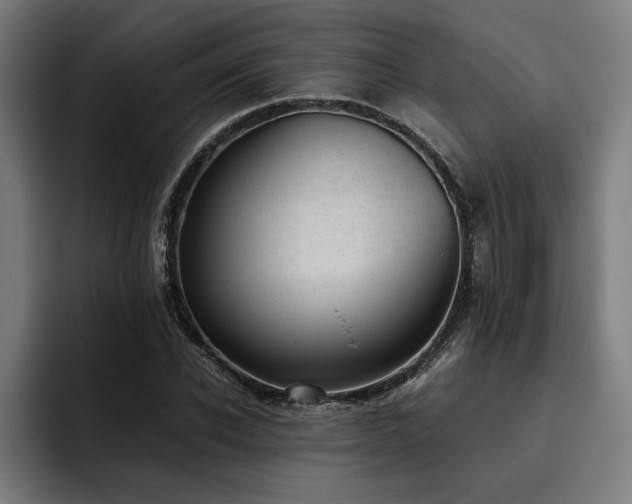 X0000093530926200710121556