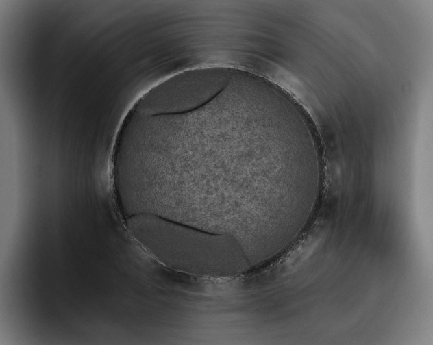 X0000093530928200710121556