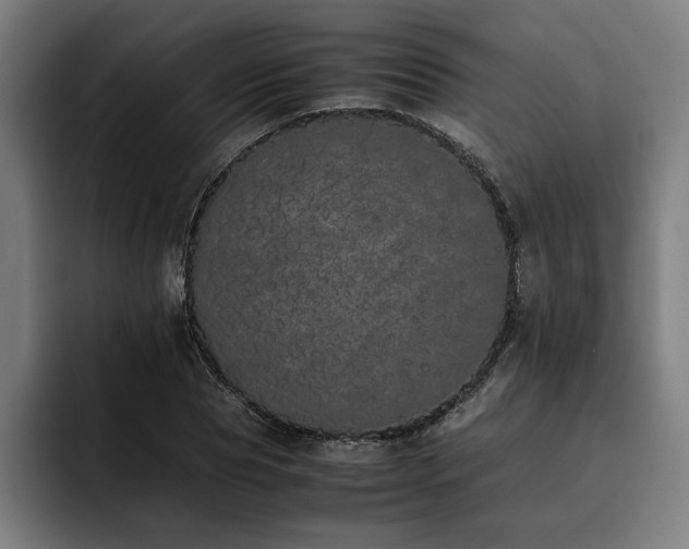X0000093530929200710121556