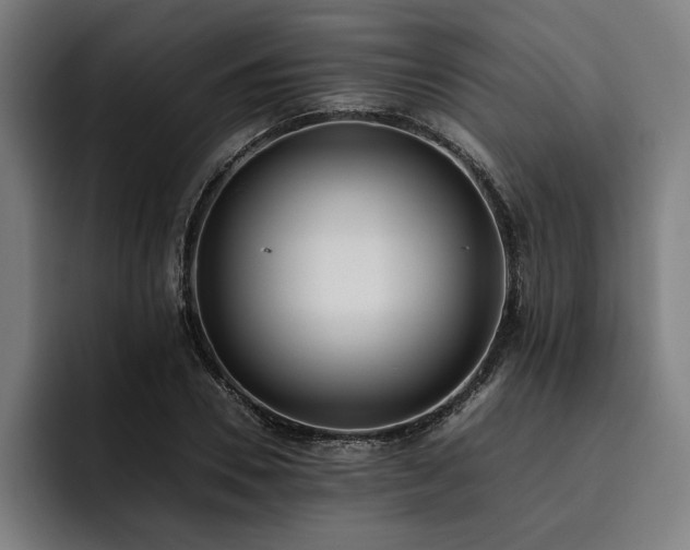 X0000093530930200710121556