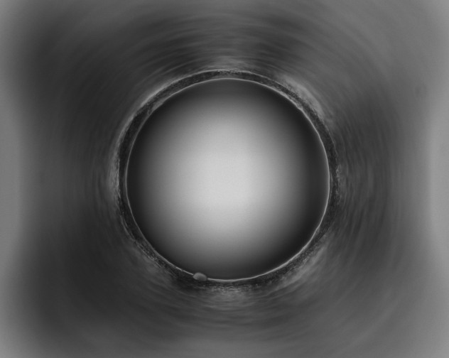 X0000093530931200710121556