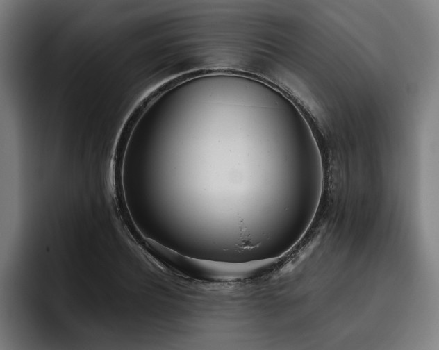 X0000093530932200710121556
