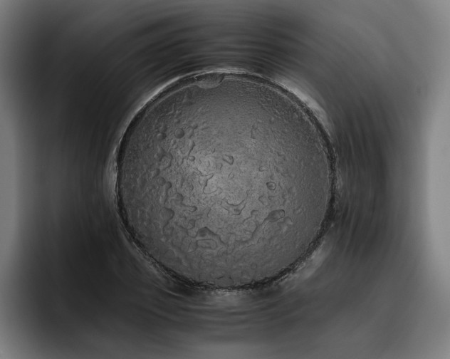 X0000093530933200710121556