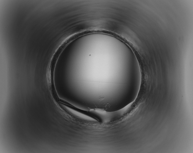 X0000093530934200710121556