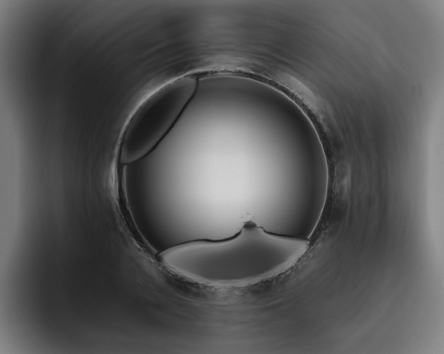X0000093530936200710121556