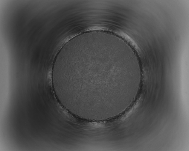 X0000093530937200710121556