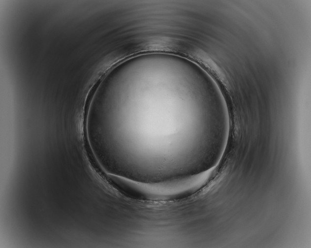 X0000093530938200710121557