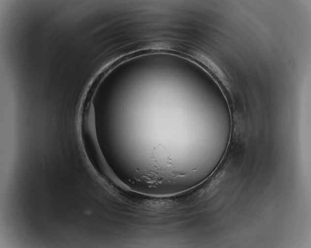 X0000093530939200710121557