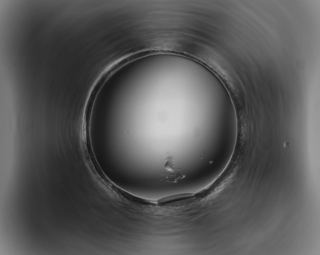 X0000093530940200710121557