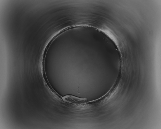 X0000093530941200710121557