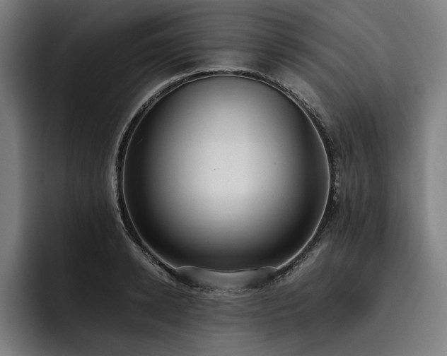 X0000093530942200710121557