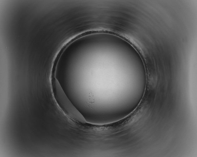 X0000093530943200710121557