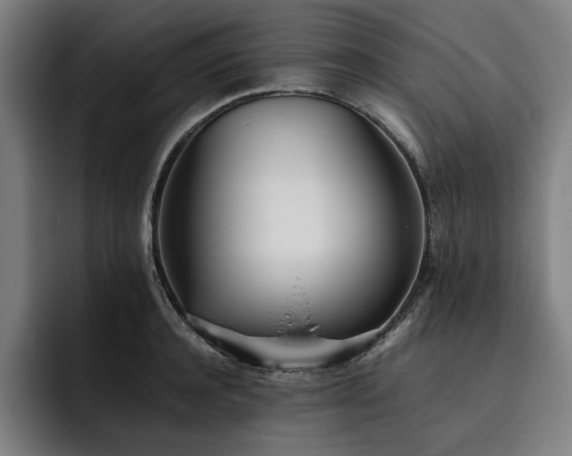 X0000093530944200710121557