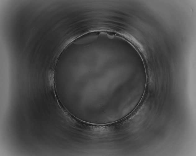 X0000093530945200710121557