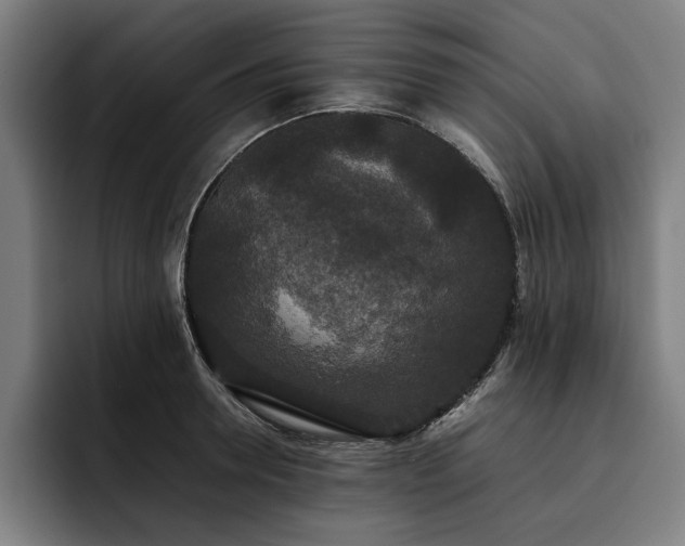 X0000093530946200710121557