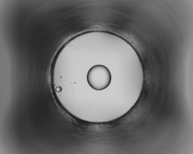 X0000093530950200710121557
