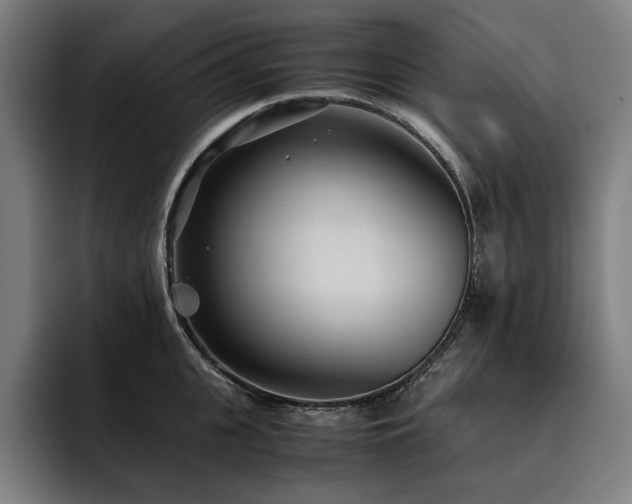 X0000093530951200710121557