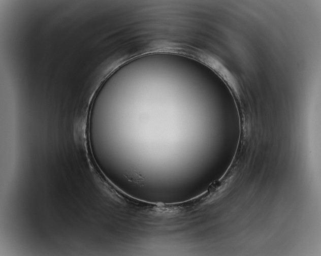 X0000093530954200710121557