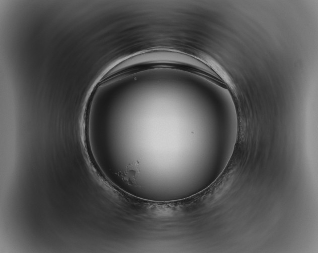 X0000093530955200710121557