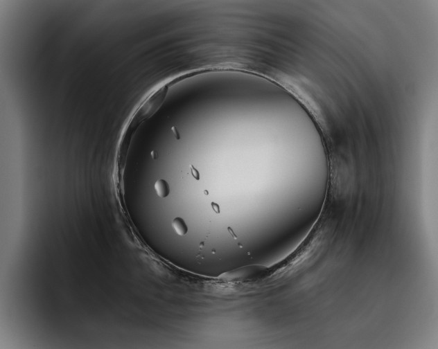 X0000093530956200710121557