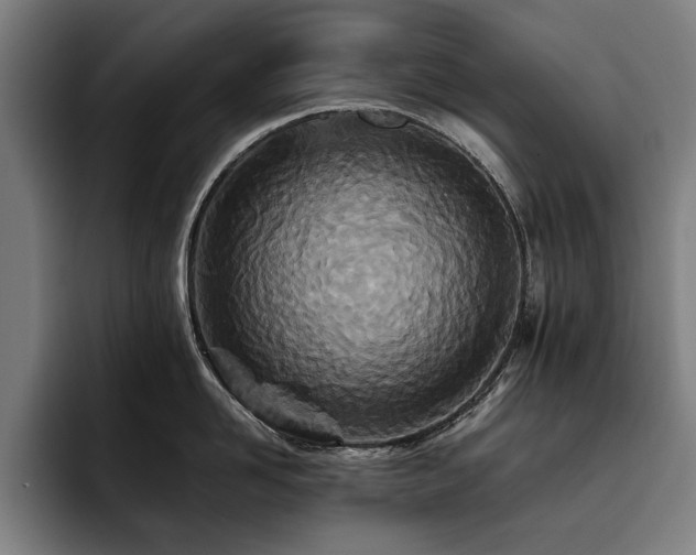 X0000093530958200710121557