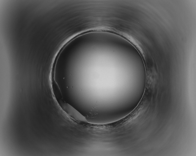X0000093530959200710121557