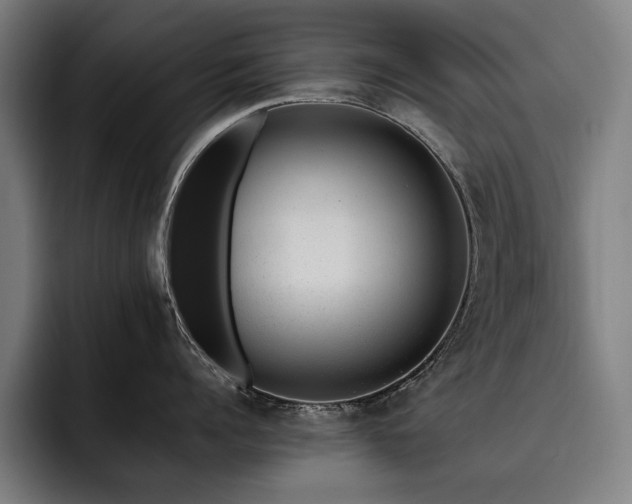 X0000093530960200710121557
