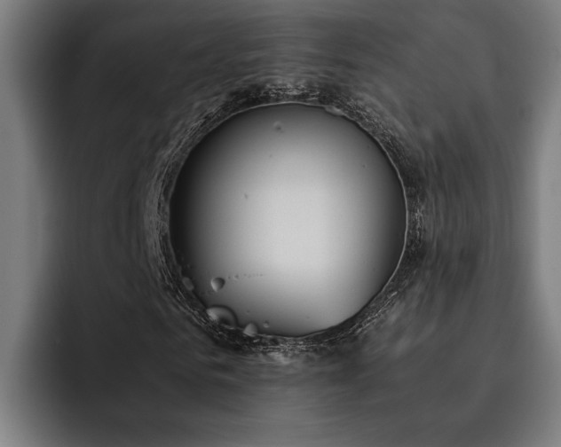 X0000093530961200710121556