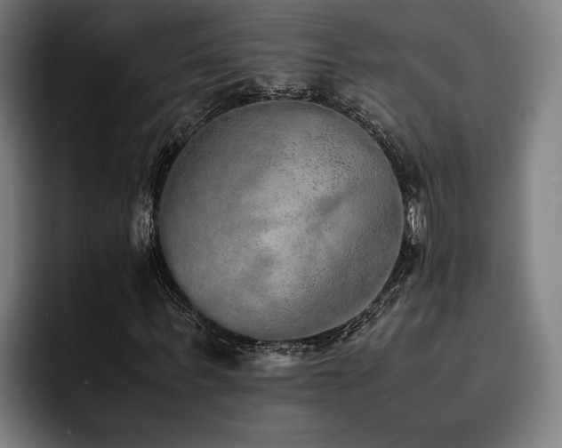 X0000093530963200710121556